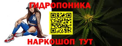 стафф Кимры